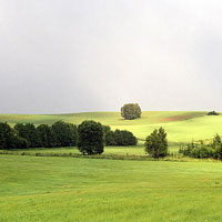 cerinek-spicak